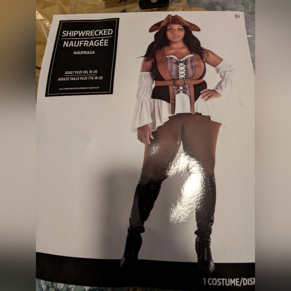 Women's plus SZ pirate costume